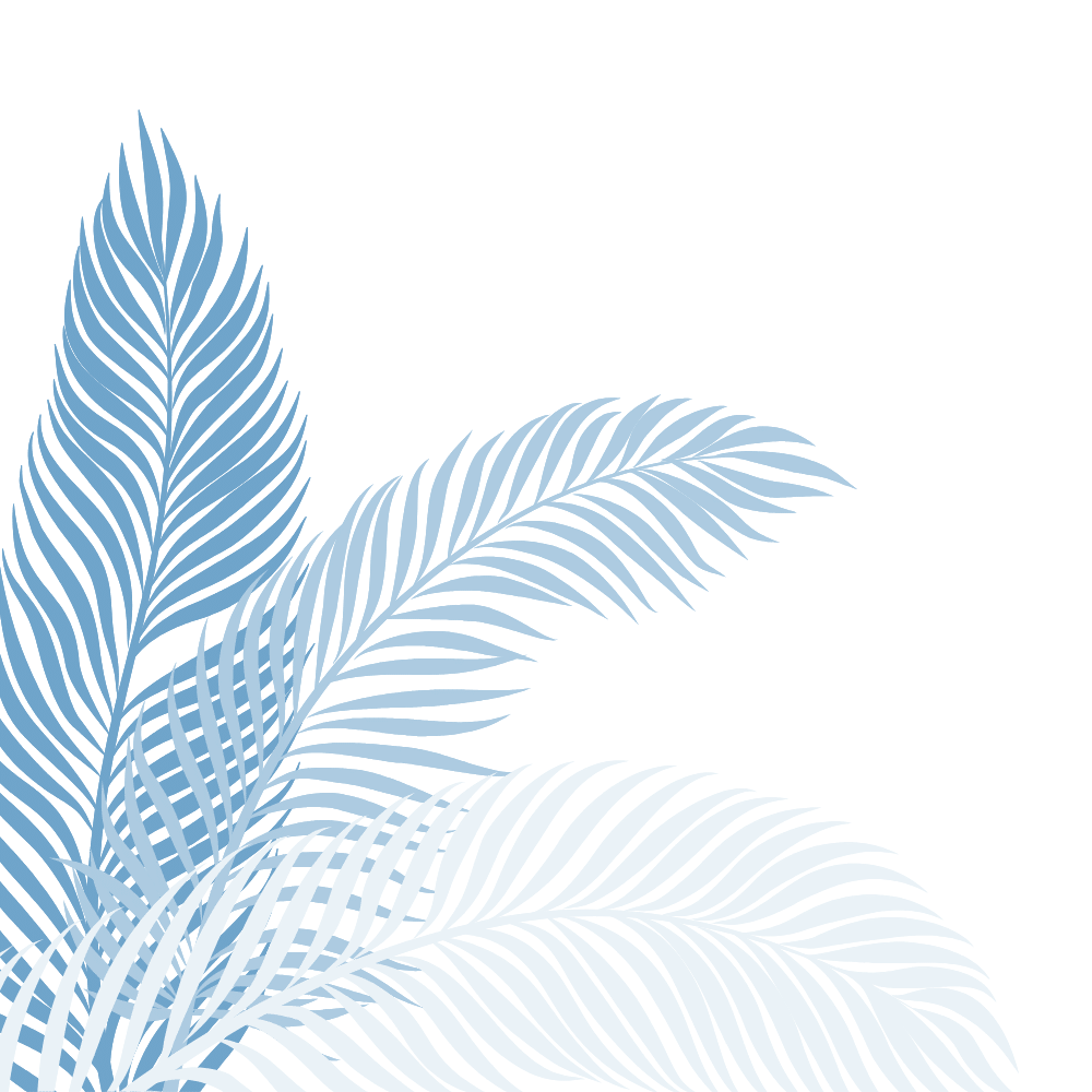 background palm - lifeskills behavioral health 2